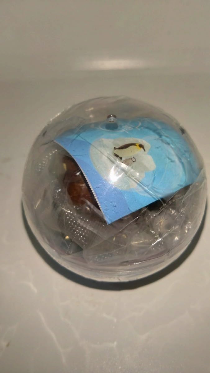 Amazon.co.jp: セイウチ カプリウムコレクション 海洋生物
